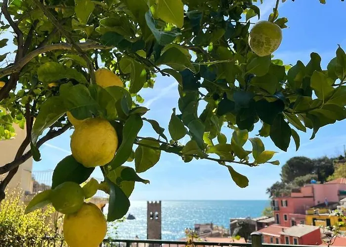 알베르고 데글리 아미치