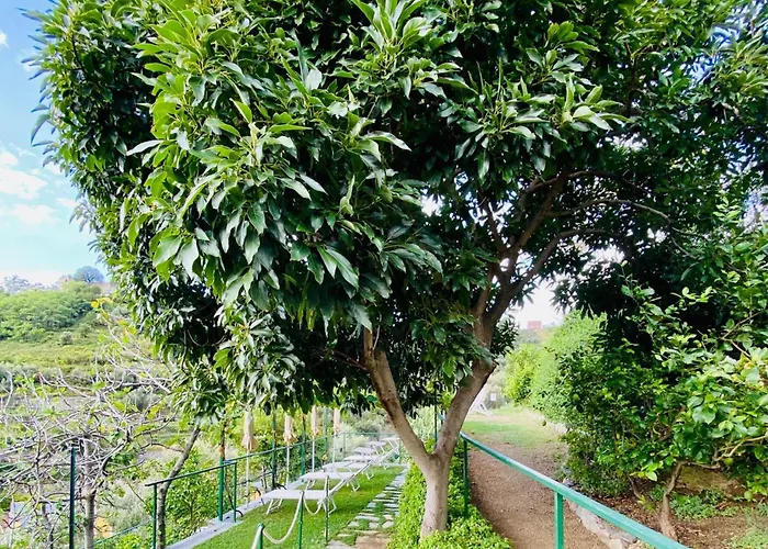 호텔 알베르고 데글리 아미치 몬테로소 알 마레