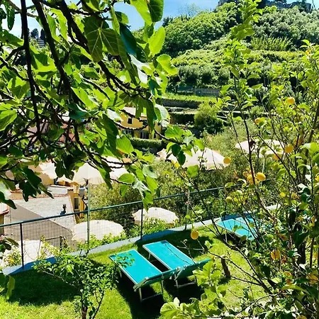 Degli Amici Moggia 3* Monterosso al Mare