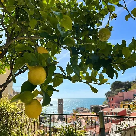 Degli Amici