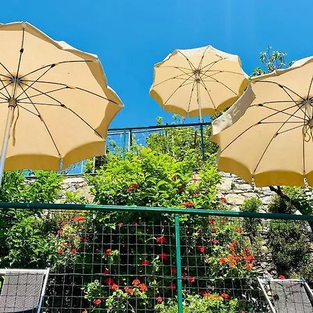 Degli Amici Hotell