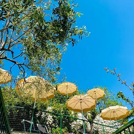Degli Amici Moggia Hotel Monterosso al Mare