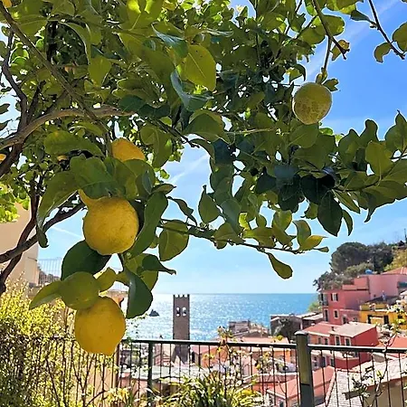 Degli Amici Moggia Hotel