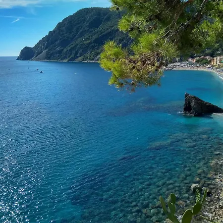 Degli Amici Moggia Monterosso al Mare