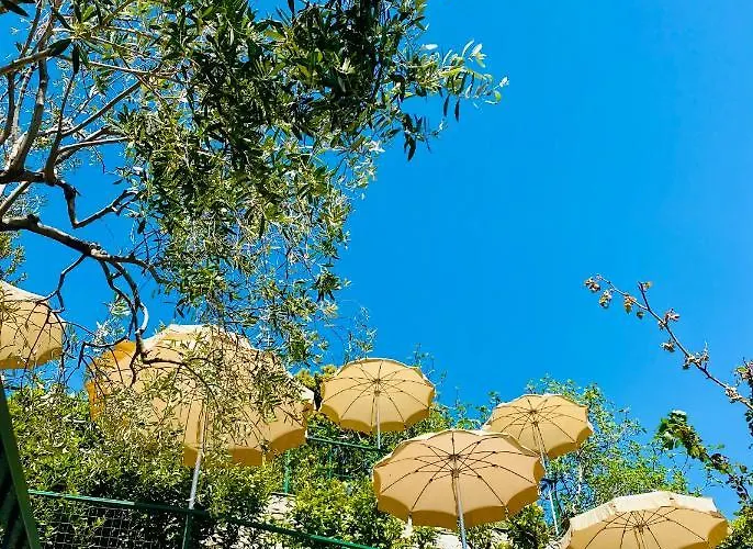 Degli Amici Hotel Monterosso al Mare